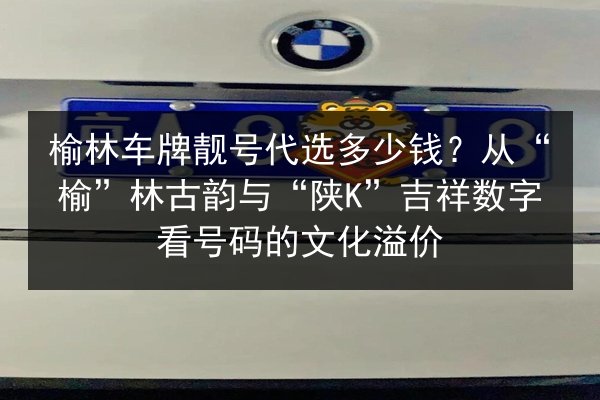 榆林车牌靓号代选多少钱?从“榆”林古韵与“陕K”吉祥数字看号码的文化溢价 第3张 榆林车牌靓号代选多少钱?从“榆”林古韵与“陕K”吉祥数字看号码的文化溢价 第3张