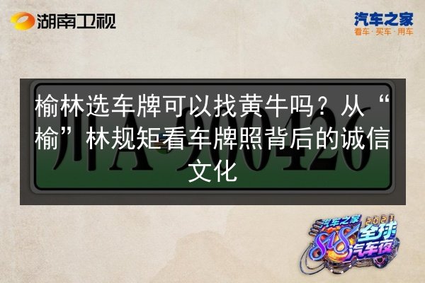 榆林选车牌可以找黄牛吗？从“榆”林规矩看车牌照背后的诚信文化 第3张