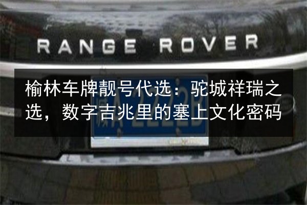 榆林车牌靓号代选：驼城祥瑞之选，数字吉兆里的塞上文化密码 第3张