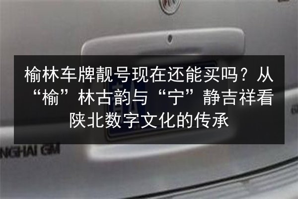 榆林车牌靓号现在还能买吗?从“榆”林古韵与“宁”静吉祥看陕北数字文化的传承 第3张 榆林车牌靓号现在还能买吗?从“榆”林古韵与“宁”静吉祥看陕北数字文化的传承 第3张