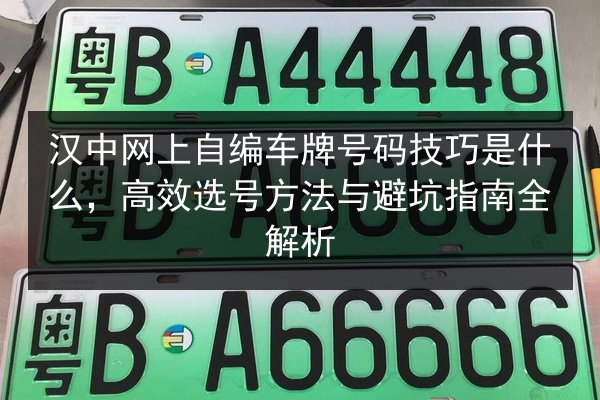 汉中网上自编车牌号码技巧是什么,高效选号方法与避坑指南全解析 第3张 汉中网上自编车牌号码技巧是什么,高效选号方法与避坑指南全解析 第3张