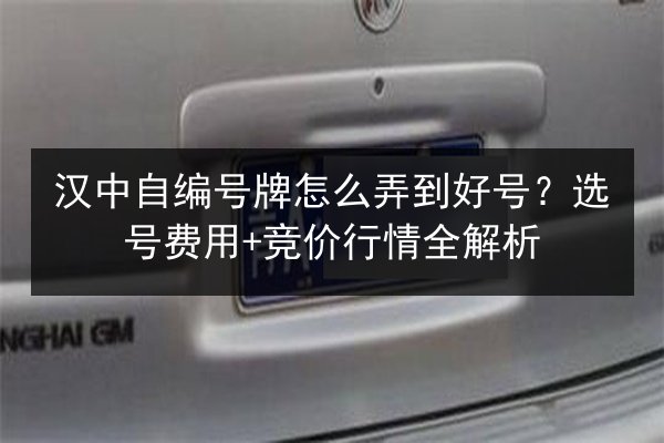汉中自编号牌怎么弄到好号?选号费用+竞价行情全解析 第2张 汉中自编号牌怎么弄到好号?选号费用+竞价行情全解析 第2张