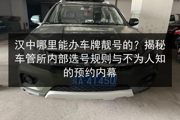 汉中哪里能办车牌靓号的？揭秘车管所内部选号规则与不为人知的预约内幕 第1张