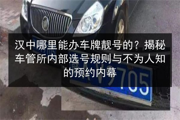 汉中哪里能办车牌靓号的？揭秘车管所内部选号规则与不为人知的预约内幕 第2张