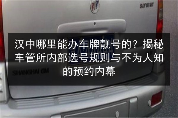 汉中哪里能办车牌靓号的？揭秘车管所内部选号规则与不为人知的预约内幕 第3张
