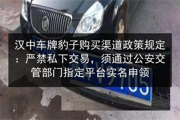 汉中车牌豹子购买渠道政策规定：严禁私下交易，须通过公安交管部门指定平台实名申领 第2张