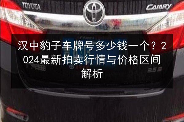 汉中豹子车牌号多少钱一个？2024最新拍卖行情与价格区间解析 第2张