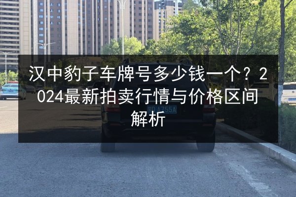 汉中豹子车牌号多少钱一个？2024最新拍卖行情与价格区间解析 第3张