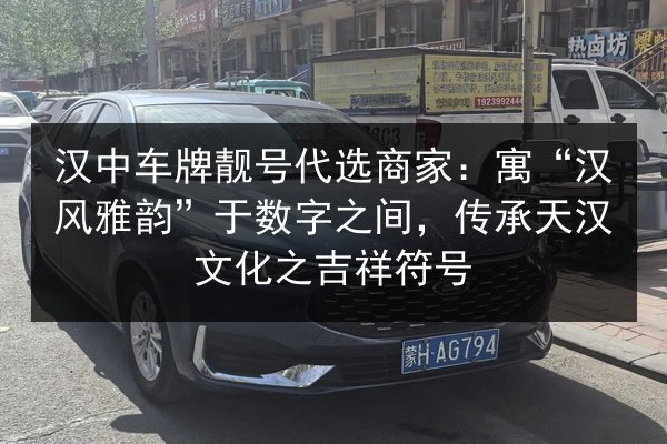 汉中车牌靓号代选商家:寓“汉风雅韵”于数字之间,传承天汉文化之吉祥符号 第2张 汉中车牌靓号代选商家:寓“汉风雅韵”于数字之间,传承天汉文化之吉祥符号 第2张