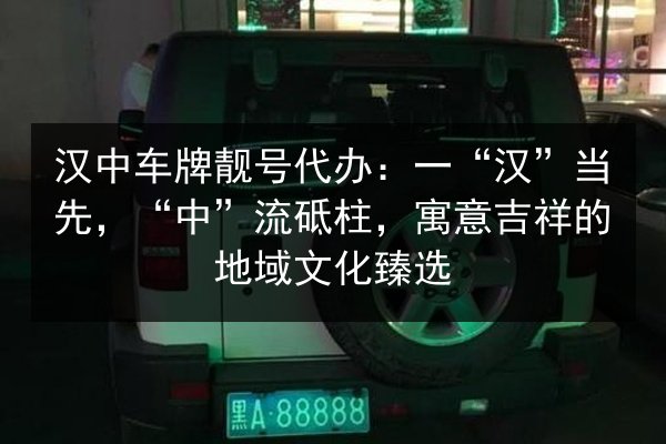 汉中车牌靓号代办：一“汉”当先，“中”流砥柱，寓意吉祥的地域文化臻选 第2张
