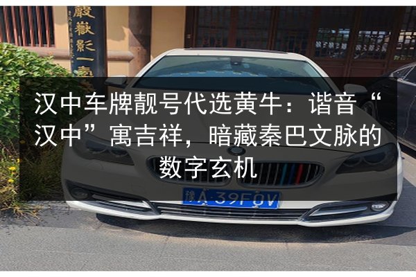 汉中车牌靓号代选黄牛:谐音“汉中”寓吉祥,暗藏秦巴文脉的数字玄机 第3张 汉中车牌靓号代选黄牛:谐音“汉中”寓吉祥,暗藏秦巴文脉的数字玄机 第3张