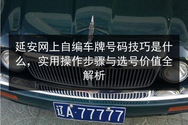 延安网上自编车牌号码技巧是什么，实用操作步骤与选号价值全解析 第2张