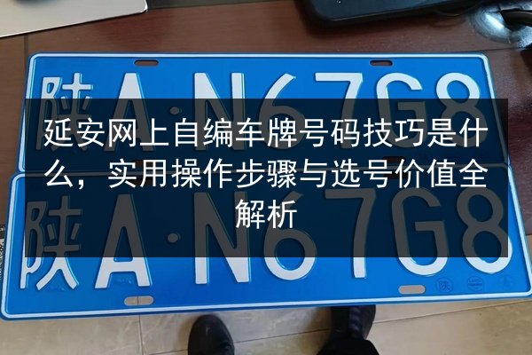 延安网上自编车牌号码技巧是什么，实用操作步骤与选号价值全解析 第3张