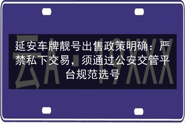 延安车牌靓号出售政策明确：严禁私下交易，须通过公安交管平台规范选号 第2张
