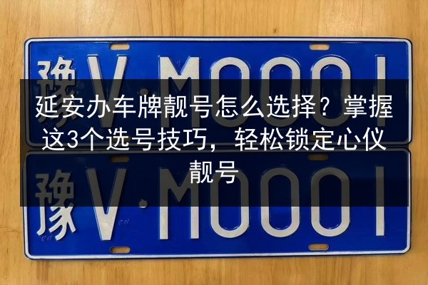 延安办车牌靓号怎么选择？掌握这3个选号技巧，轻松锁定心仪靓号 第2张