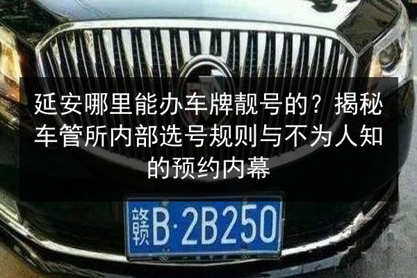 延安哪里能办车牌靓号的？揭秘车管所内部选号规则与不为人知的预约内幕