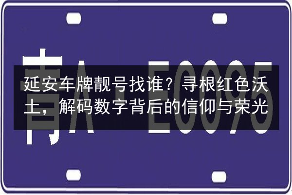 延安车牌靓号找谁?寻根红色沃土,解码数字背后的信仰与荣光 第2张 延安车牌靓号找谁?寻根红色沃土,解码数字背后的信仰与荣光 第2张
