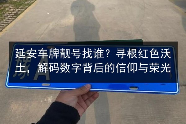 延安车牌靓号找谁?寻根红色沃土,解码数字背后的信仰与荣光 第3张 延安车牌靓号找谁?寻根红色沃土,解码数字背后的信仰与荣光 第3张