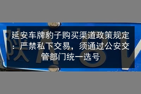 延安车牌豹子购买渠道政策规定：严禁私下交易，须通过公安交管部门统一选号