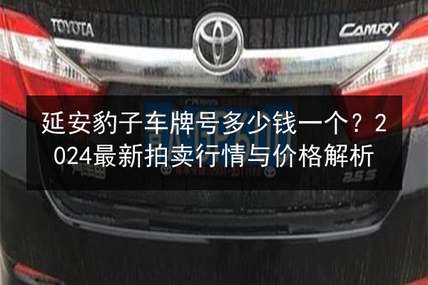 延安豹子车牌号多少钱一个？2024最新拍卖行情与价格解析 第2张