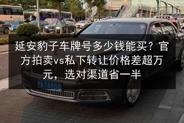 延安豹子车牌号多少钱能买？官方拍卖vs私下转让价格差超万元，选对渠道省一半 第2张
