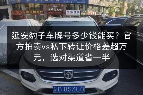 延安豹子车牌号多少钱能买？官方拍卖vs私下转让价格差超万元，选对渠道省一半 第3张