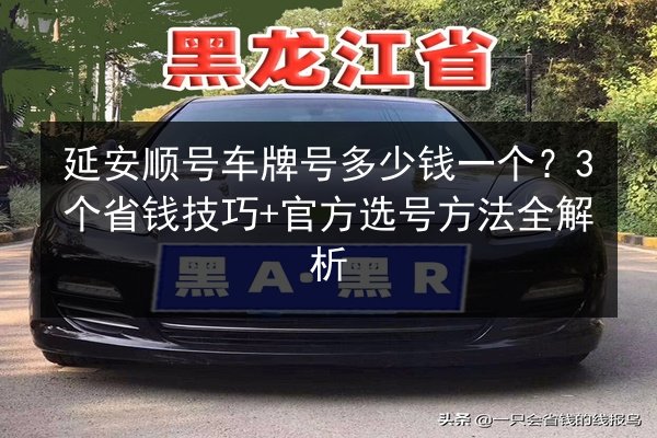 延安顺号车牌号多少钱一个?3个省钱技巧+官方选号方法全解析 第3张 延安顺号车牌号多少钱一个?3个省钱技巧+官方选号方法全解析 第3张