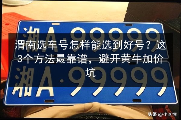 渭南选车号怎样能选到好号?这3个方法最靠谱,避开黄牛加价坑 第2张 渭南选车号怎样能选到好号?这3个方法最靠谱,避开黄牛加价坑 第2张