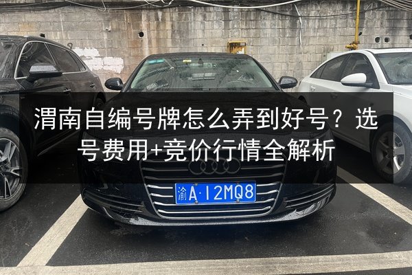 渭南自编号牌怎么弄到好号？选号费用+竞价行情全解析 第3张