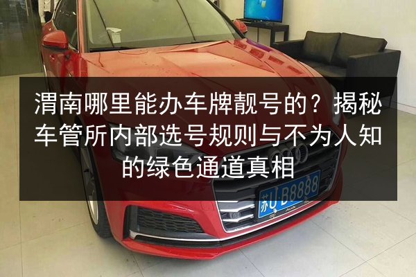 渭南哪里能办车牌靓号的?揭秘车管所内部选号规则与不为人知的绿色通道真相 第2张 渭南哪里能办车牌靓号的?揭秘车管所内部选号规则与不为人知的绿色通道真相 第2张