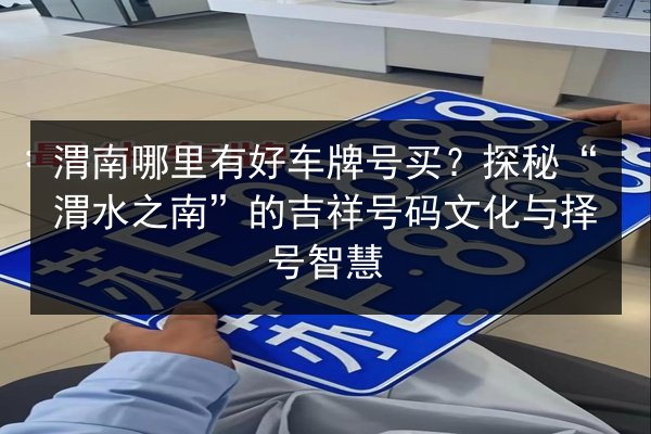 渭南哪里有好车牌号买？探秘“渭水之南”的吉祥号码文化与择号智慧 第2张