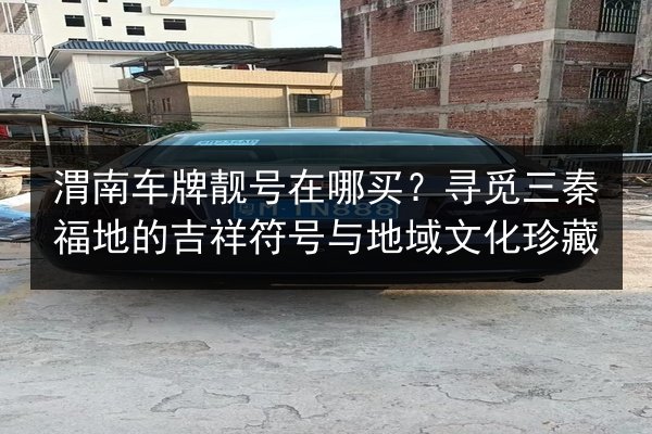 渭南车牌靓号在哪买?寻觅三秦福地的吉祥符号与地域文化珍藏 第3张 渭南车牌靓号在哪买?寻觅三秦福地的吉祥符号与地域文化珍藏 第3张