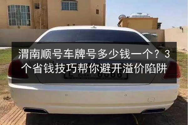 渭南顺号车牌号多少钱一个?3个省钱技巧帮你避开溢价陷阱 第2张 渭南顺号车牌号多少钱一个?3个省钱技巧帮你避开溢价陷阱 第2张