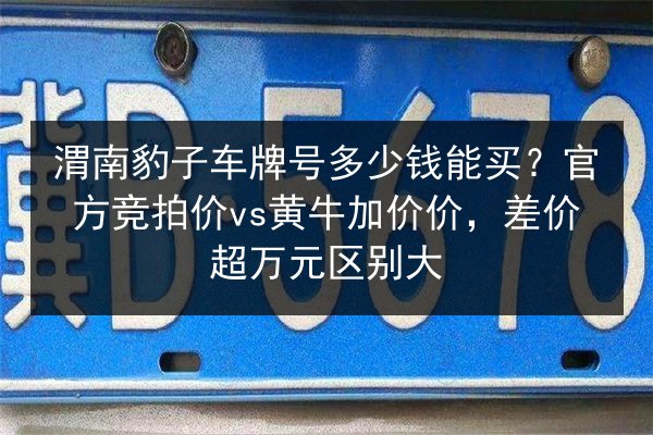 渭南豹子车牌号多少钱能买？官方竞拍价vs黄牛加价价，差价超万元区别大 第2张