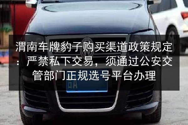 渭南车牌豹子购买渠道政策规定：严禁私下交易，须通过公安交管部门正规选号平台办理 第2张