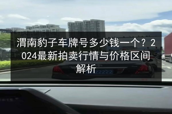 渭南豹子车牌号多少钱一个？2024最新拍卖行情与价格区间解析 第3张
