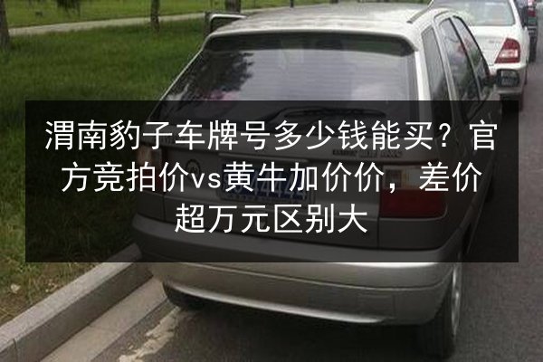 渭南豹子车牌号多少钱能买？官方竞拍价vs黄牛加价价，差价超万元区别大 第3张