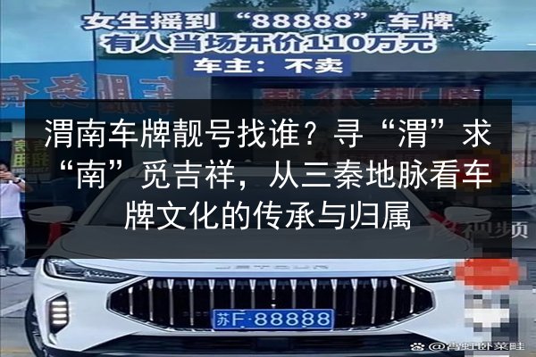 渭南车牌靓号找谁?寻“渭”求“南”觅吉祥,从三秦地脉看车牌文化的传承与归属 第3张 渭南车牌靓号找谁?寻“渭”求“南”觅吉祥,从三秦地脉看车牌文化的传承与归属 第3张
