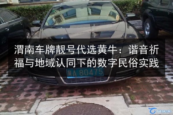渭南车牌靓号代选黄牛：谐音祈福与地域认同下的数字民俗实践 第1张