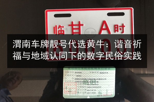 渭南车牌靓号代选黄牛：谐音祈福与地域认同下的数字民俗实践 第2张
