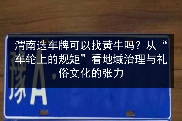 渭南选车牌可以找黄牛吗？从“车轮上的规矩”看地域治理与礼俗文化的张力 第2张