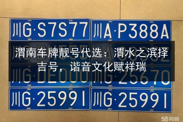 渭南车牌靓号代选:渭水之滨择吉号,谐音文化赋祥瑞 第3张 渭南车牌靓号代选:渭水之滨择吉号,谐音文化赋祥瑞 第3张