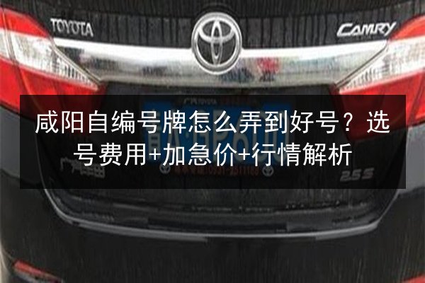 咸阳自编号牌怎么弄到好号?选号费用+加急价+行情解析 第2张 咸阳自编号牌怎么弄到好号?选号费用+加急价+行情解析 第2张
