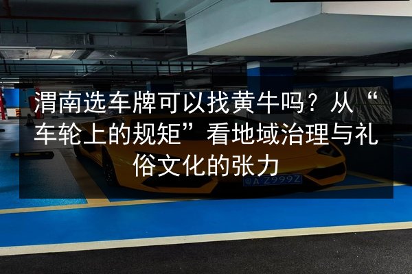 渭南选车牌可以找黄牛吗？从“车轮上的规矩”看地域治理与礼俗文化的张力 第4张