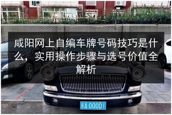 咸阳网上自编车牌号码技巧是什么,实用操作步骤与选号价值全解析 第3张 咸阳网上自编车牌号码技巧是什么,实用操作步骤与选号价值全解析 第3张