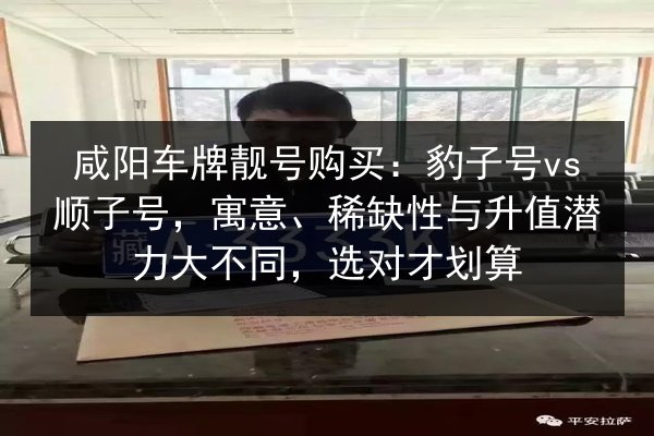 咸阳车牌靓号购买:豹子号vs顺子号,寓意、稀缺性与升值潜力大不同,选对才划算 第2张 咸阳车牌靓号购买:豹子号vs顺子号,寓意、稀缺性与升值潜力大不同,选对才划算 第2张
