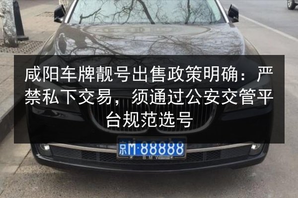 咸阳车牌靓号出售政策明确：严禁私下交易，须通过公安交管平台规范选号 第2张