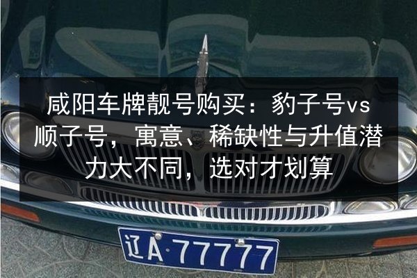 咸阳车牌靓号购买:豹子号vs顺子号,寓意、稀缺性与升值潜力大不同,选对才划算 第3张 咸阳车牌靓号购买:豹子号vs顺子号,寓意、稀缺性与升值潜力大不同,选对才划算 第3张