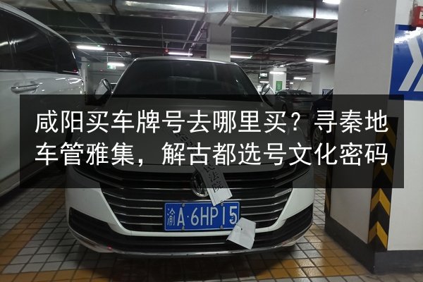 咸阳买车牌号去哪里买？寻秦地车管雅集，解古都选号文化密码 第2张