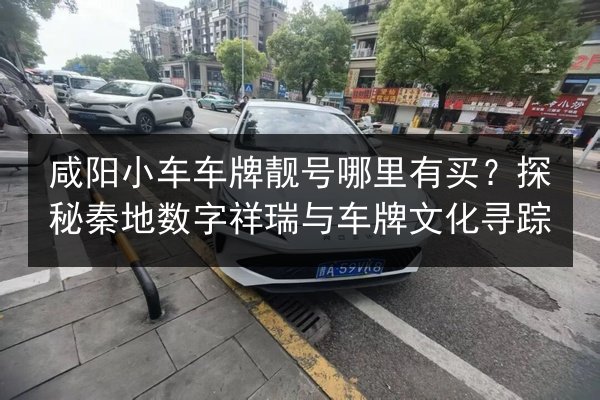 咸阳小车车牌靓号哪里有买?探秘秦地数字祥瑞与车牌文化寻踪 第2张 咸阳小车车牌靓号哪里有买?探秘秦地数字祥瑞与车牌文化寻踪 第2张